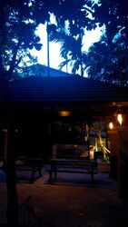 Amaninda (D11), Condominium #561397981